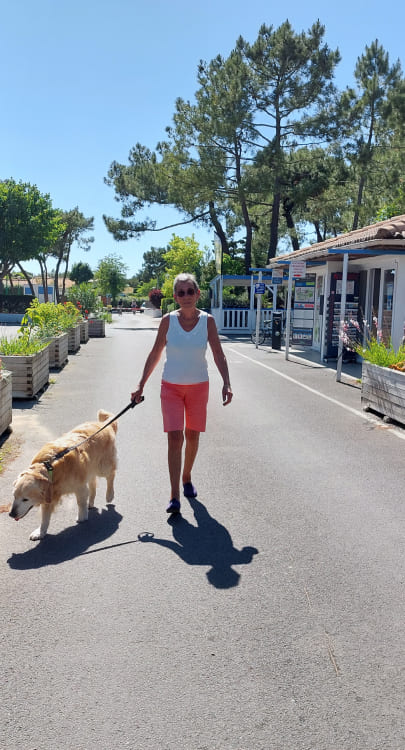 promenade chien dans le camping