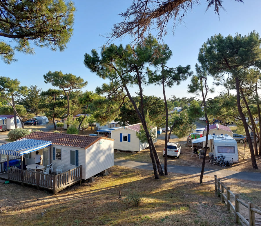 Des mobil-homes et des caravanes sont dispersés entre les pins dans un camping sous un ciel bleu.