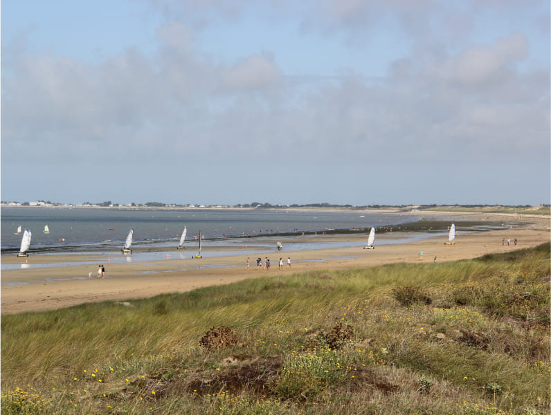 La plage vu de la dune est animée par des personnes se promenant et des voiles de planches à voile glissant sur l'eau peu profonde.